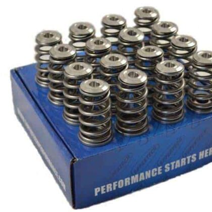 Veloster Valve spring package